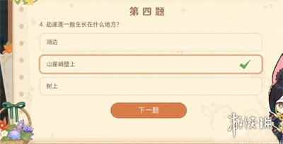 网5