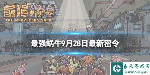网1