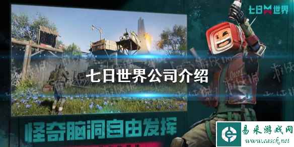 网1
