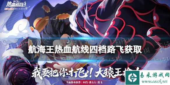 网1