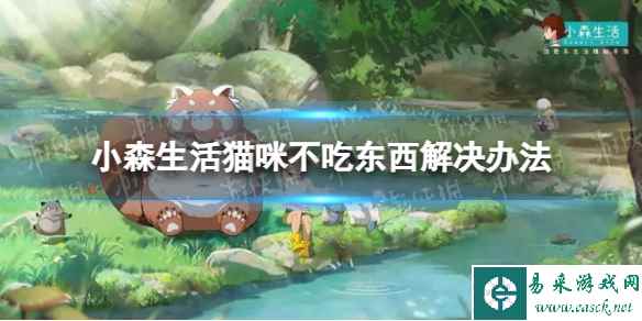 网1