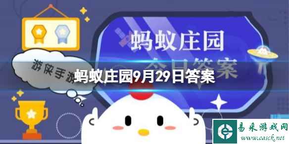 网1