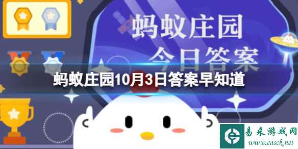 网1