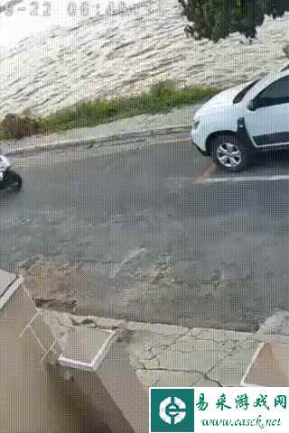 狗子感叹现在狗心险恶 动图 动口不动手的完美演绎