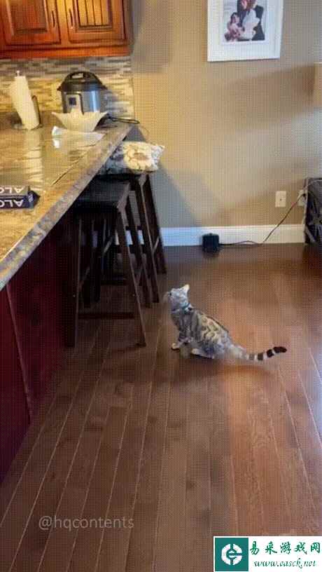 这么大一定藏了不少东西吧 动图 这个力度可以吗客官