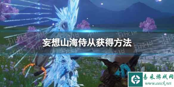 网1