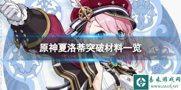 网1