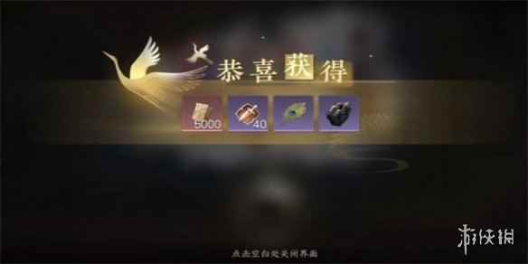 网5