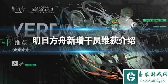 网1
