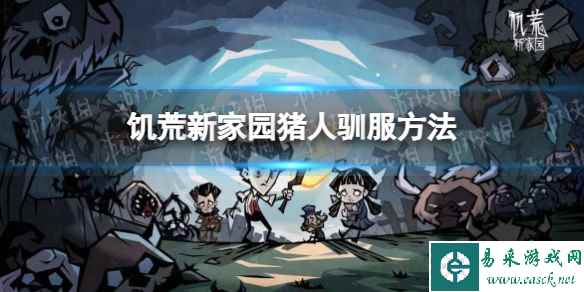 网1