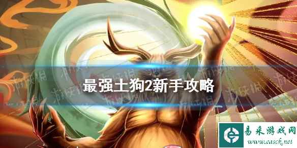 网1