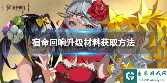 网1