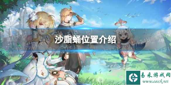 网1
