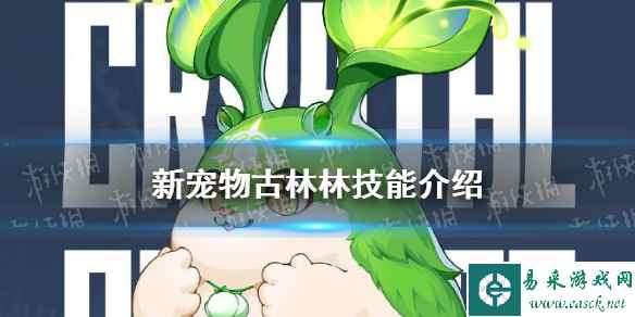 网1