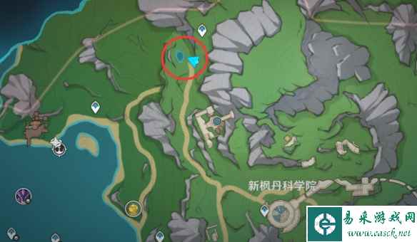 网9