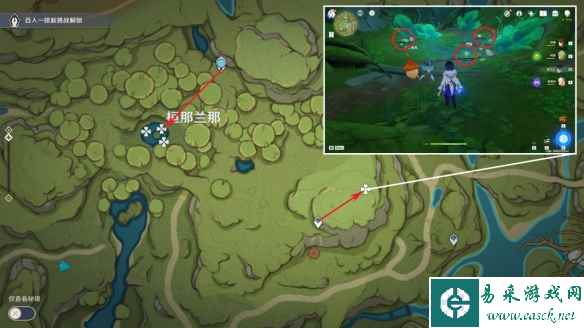 网5