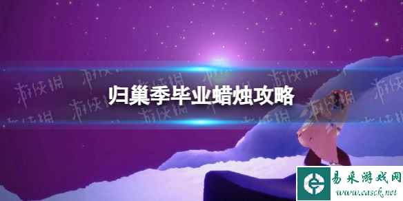 网1