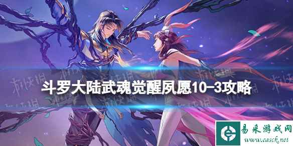 网1