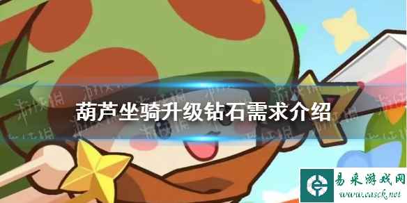 网1
