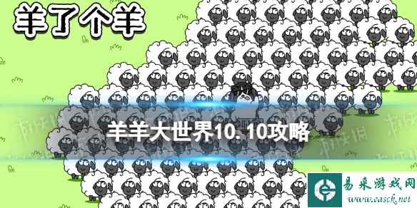 网1