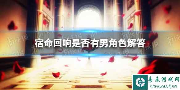 网1