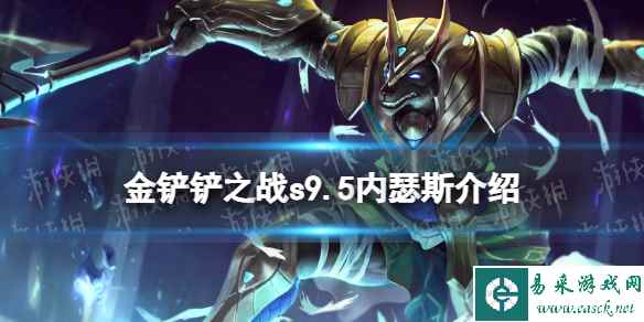 网1