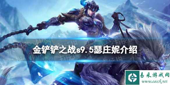 网1