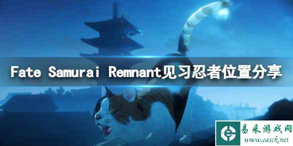 《Fate Samurai Remnant》见习忍者位置分享 见习忍者在哪？