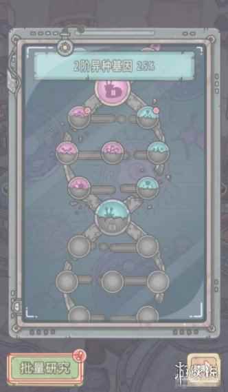 网5