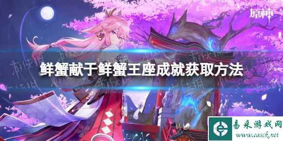 网1