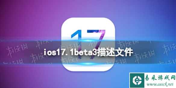 网1