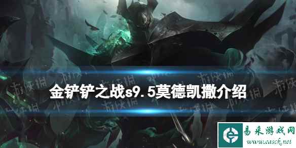 网1