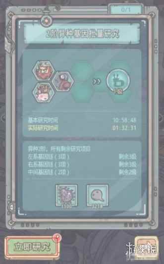 网6