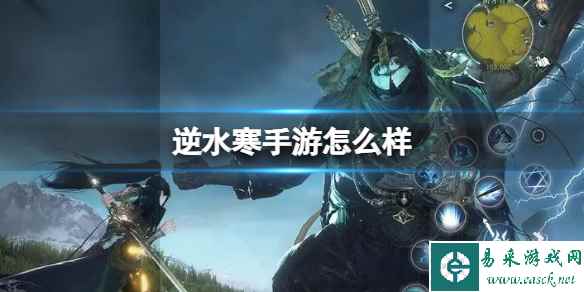 网1
