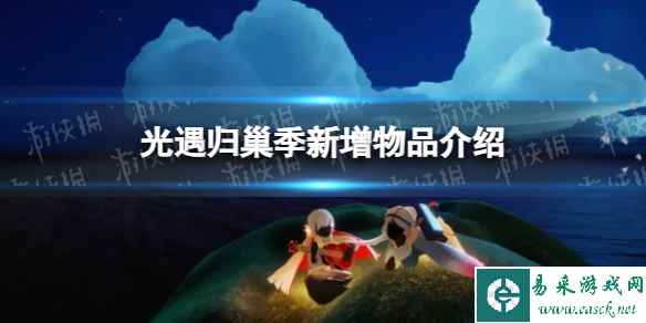 网1