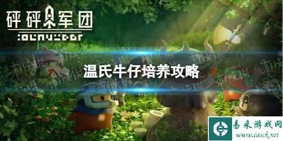网1