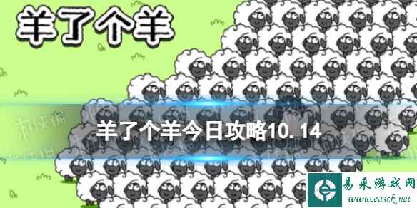网1