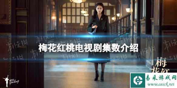 网1
