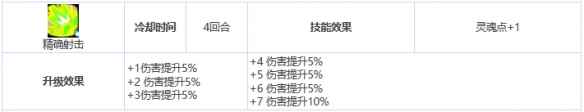 网5