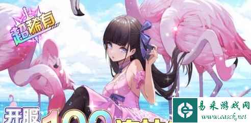 网5