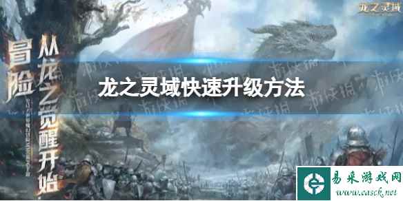 网1