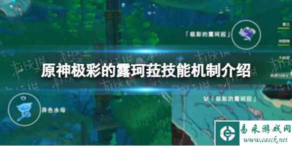 网1