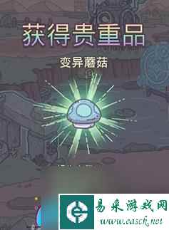 最强蜗牛变异蘑菇位置在哪里-变异蘑菇位置一览
