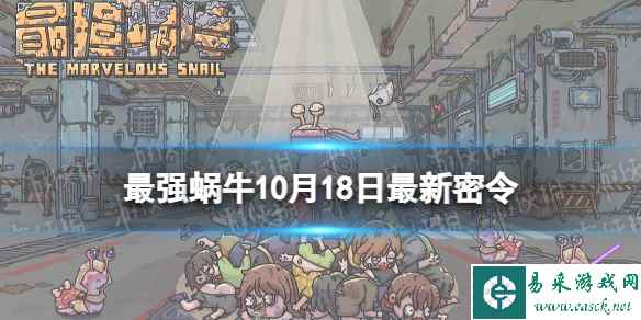 网1