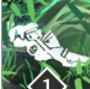 网2