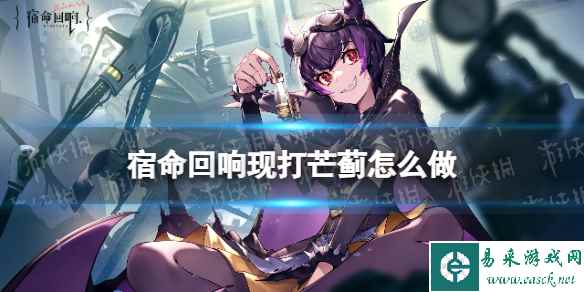 网1