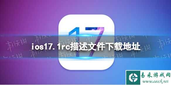 网1