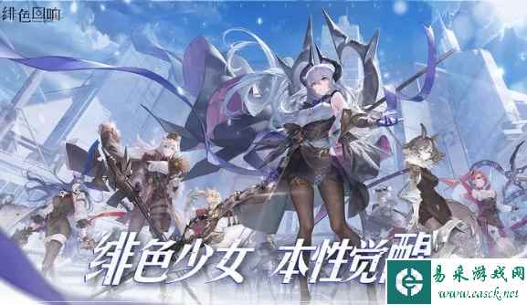 网1