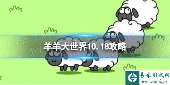 网1