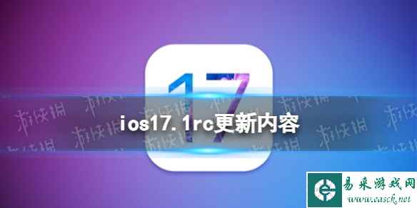 网1